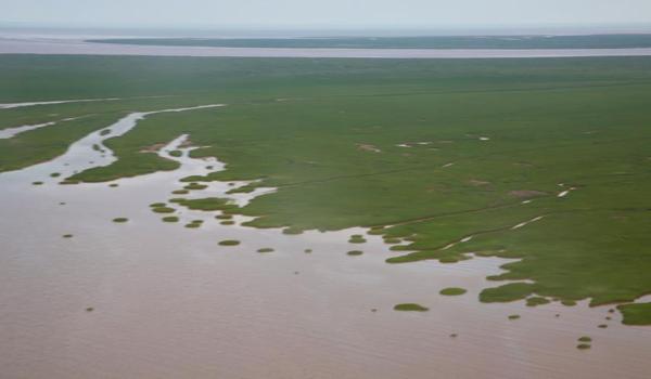 三角洲行动卡顿官方补丁(给我三角洲行动卡顿的官方补丁下载链接) 三角洲行动卡顿官方补丁(给我三角洲行动卡顿的官方补丁下载链接)
