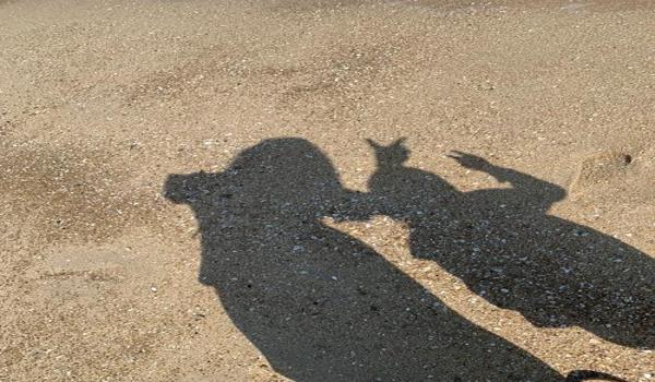 三角洲哪个枪不能侧瞄(三角洲不能侧瞄的枪有哪些?) 三角洲哪个枪不能侧瞄(三角洲不能侧瞄的枪有哪些?)