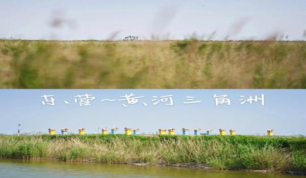 三角洲行动套包技巧(《三角洲行动》套包最快的方法) 三角洲行动套包技巧(《三角洲行动》套包最快的方法)