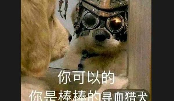 三角洲官方制裁寻血猎犬(有没有寻血猎犬被官方制裁的实例?) 三角洲官方制裁寻血猎犬(有没有寻血猎犬被官方制裁的实例?)